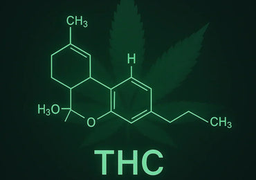 Was ist THC? Wirkung, Vorkommen & Besonderheiten