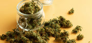 Cannabis Curing – Aushärtung leicht gemacht