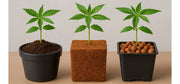 Grow-Substrate im Überblick – Welche Anbaumethode passt zu dir?
