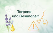 Grafik mit Lavendel, Öltropfen und Symbolen zum Thema Terpene und Gesundheit