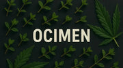 Ocimen – das grün-süße Kräuter-Terpen im Cannabis