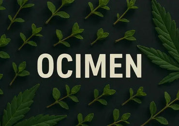 Ocimen – das grün-süße Kräuter-Terpen im Cannabis