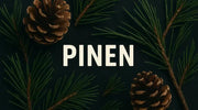 Pinen (α/β) – das frische Wald-Terpen im Cannabis