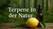 Zitrone, Rosmarinzweig und Braunglas-Pipettenflasche auf Holztisch vor Wald – Terpene in der Natur.