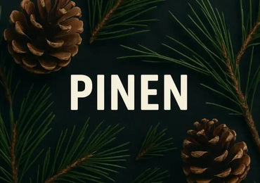 Pinen (α/β) – das frische Wald-Terpen im Cannabis