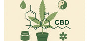 CBD erklärt: Wirkung, Anwendung & Unterschiede zu THC