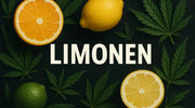 Limonen – das spritzige Zitrus-Terpen im Cannabis