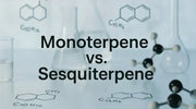 Titelbild: Monoterpene vs. Sesquiterpene – Labor-Glasgeräte mit Molekülskizzen und Kugel-Stab-Modell im Hintergrund.