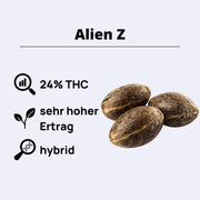 AlienZ Feminisierte Samen
