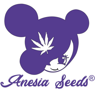 Anesia Seeds Logo B2B
