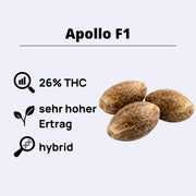 Apollo F1 Autoflowering Samen mit 26% THC und hohem Ertrag von Royal Queen Seeds