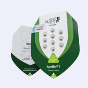 Apollo F1 Autoflowering Samen von Royal Queen Seeds verpackt im ansprechenden Design.