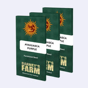 Ayahuasca Purple feminisierte Samen von Barneys Farm, Packung mit drei Samen.