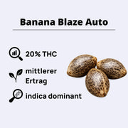 Banana Blaze Autoflowering Samen