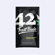 Banana Purple Punch Autoflowering Samen