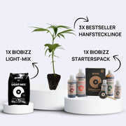 Bestseller Bundle containing 3 Hanfstecklinge, Biobizz Light-Mix soil, and Biobizz Starterspack for cannabis cultivation.