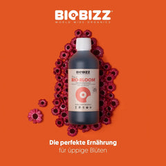 Biobizz | Organischer Bio Bloom Dünger