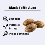 Black Toffee Autofowering Samen