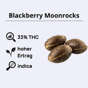 Blackberry Moonrocks Feminsierte Samen - Anesia Seeds
