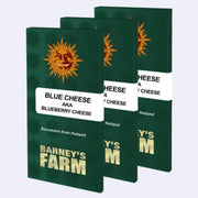 Verpackung von Blue Cheese feminisierten Samen von Barneys Farm, eine beliebte Sorte für Grower.