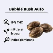 Bubble Kush Autoflowering Samen