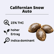 Californian Snow Autoflowering Samen
