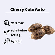 Cherry Cola Autoflowering Samen
