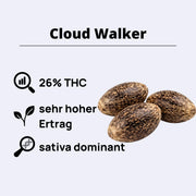 Cloud Walker Feminisierte Samen