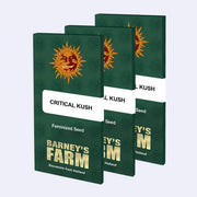 Critical Kush Feminisierte Samen von Barneys Farm, ideal für Gartenliebhaber und Züchter.