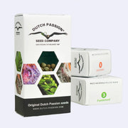 Daiquiri Lime Autoflowering Samen