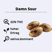 Damn Sour Feminisierte Samen