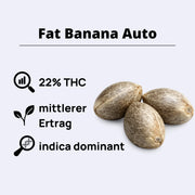 Fat Banana Autoflowering Samen