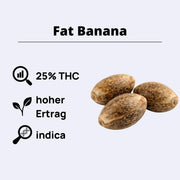 Fat Banana Samen mit 25% THC, hohem Ertrag und indica Anteil von Royal Queen Seeds.