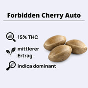 Forbidden Cherry Autoflowering Samen