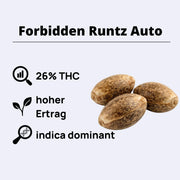 Forbidden Runtz Autoflowering Samen