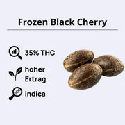 Frozen Black Cherry Feminsierte Samen - Anesia Seeds