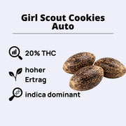 Girl Scout Cookies Autoflowering Samen