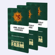 Girl Scout Cookies von Barneys Farm - Verpackung mit Sonnenmotiv, Souvenirs aus Holland.