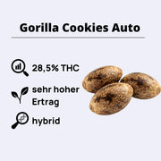 Gorilla Cookies Autoflowering Samen