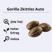 Gorilla Zkittlez Autoflowering Samen mit 25% THC, hohem Ertrag und indica Eigenschaften.