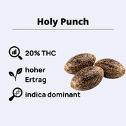 Holy Punch Feminisierte Samen