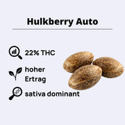 Hulkberry Autoflowering Samen