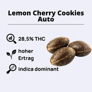 Lemon Cherry Cookies Autoflowering Samen