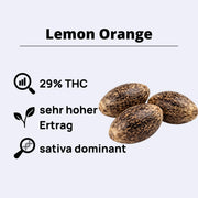 Lemon Orange Feminisierte Samen