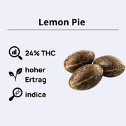 Lemon Pie Autoflowering Samen - 420 Fast Buds