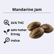 Mandarine Jam Samen mit 24% THC und sehr hohem Ertrag, indica Sorte von Sensi Seeds.