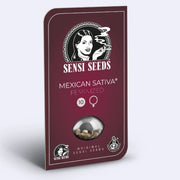 Mexican Sativa Feminisierte Samen von Sensi Seeds in einer Verpackung mit 10 Samen.