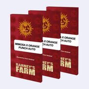 Mimosa x Orange Punch Autoflowering Samen von Barneys Farm in rotem Verpackungsdesign