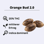 Orange Bud 2.0 Feminisierte Samen