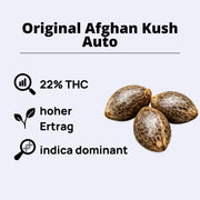 Original Afghan Kush Autoflowering Samen